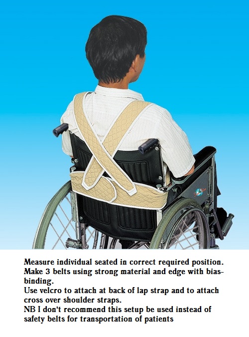wheelchair safetybelt and harness